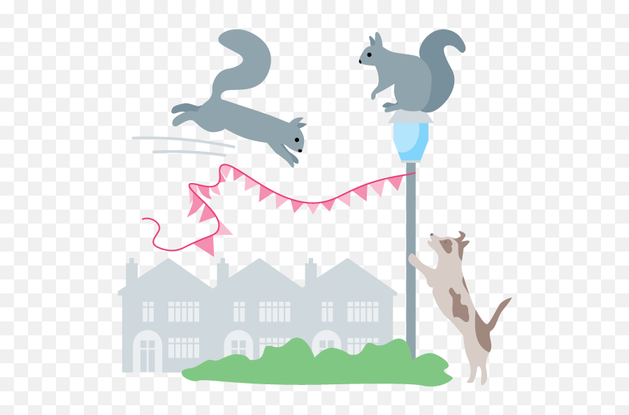 100 Squirrel Pest Control Removal London - Illustration Png,Squirrel Transparent