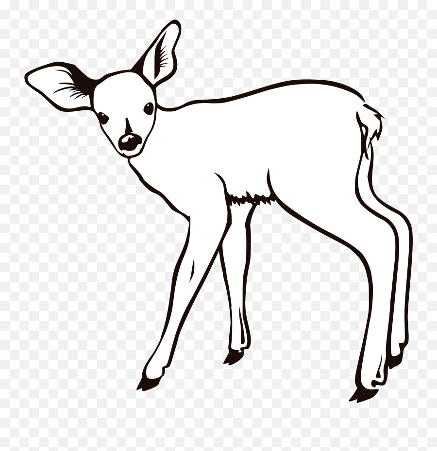 Big Image - Deer Outline Png,Baby Deer Png