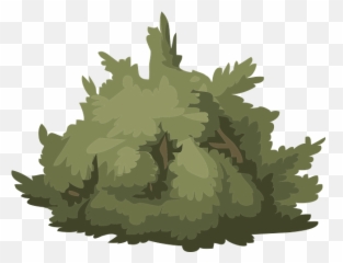 Download Bush Shrub Green Plant Nature - Silhouette Of A png