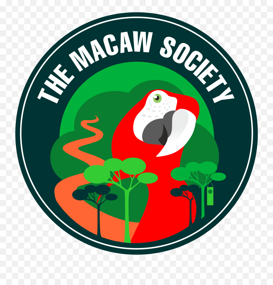 The Macaw Society - Wikipedia Language Png,Macaw Png