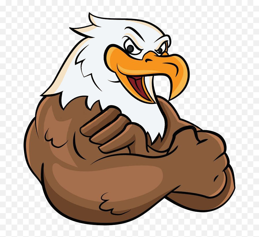 Vector Mascota Aguila Png Clipart - Bald Eagle Cartoon,Aguila Png