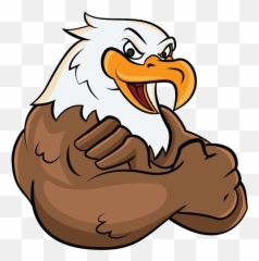 Vector Mascota Aguila Png Clipart - Bald Eagle Cartoon,Aguila Png