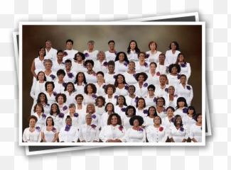 St Petersburg Alumnae Chapter Of Delta Sigma Theta Sorority - Student Png,Delta Sigma Theta Png