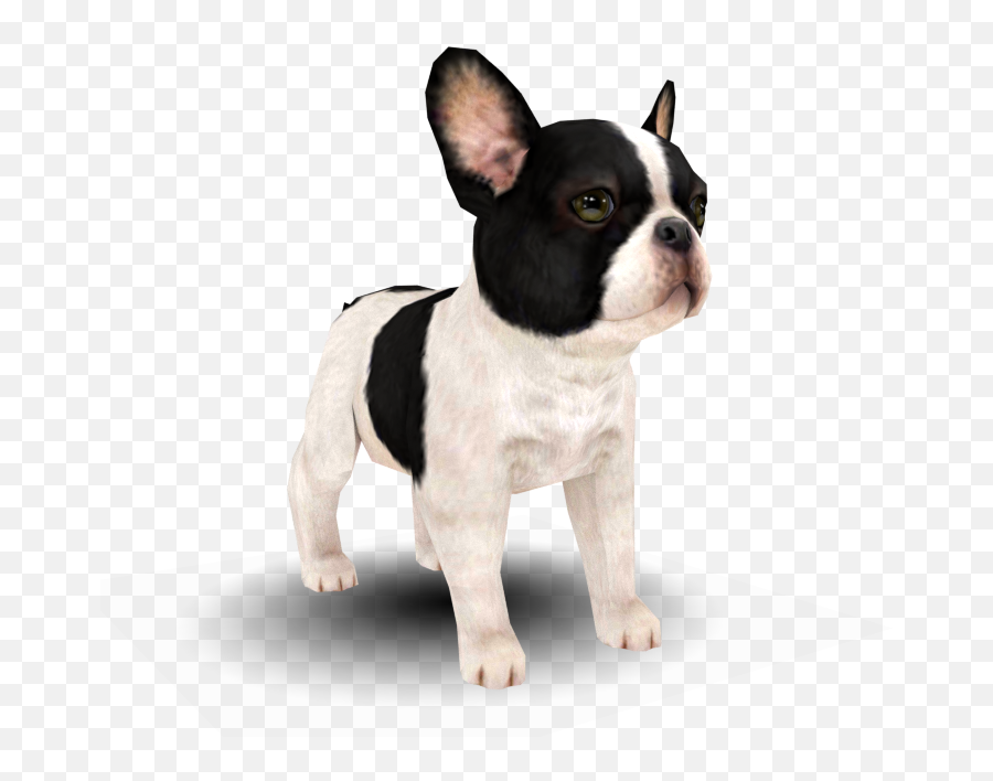 French Bulldog Transparent Png Image - Nintendogs Bulldog,French Bulldog Png