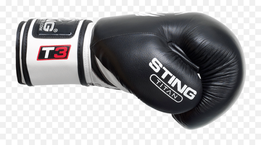 Titan Leather Boxing Gloves - Black Boxing Gloves Png,Boxing Glove Png