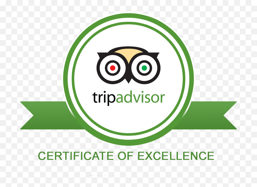 Download Trip Advisor - Tripadvisor Png,Tripadvisor Icon Png