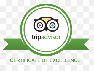 Download Trip Advisor - Tripadvisor png