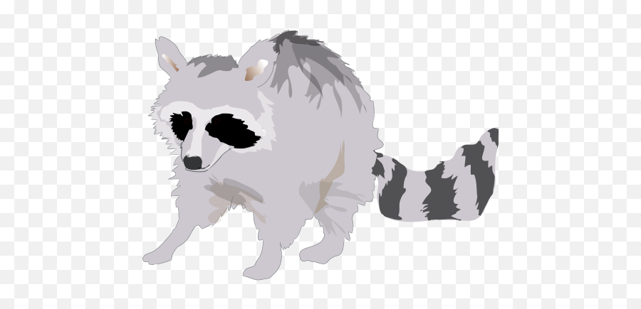 Symbol Vector Illustration Mammal - Raccoons Png,Racoon Icon