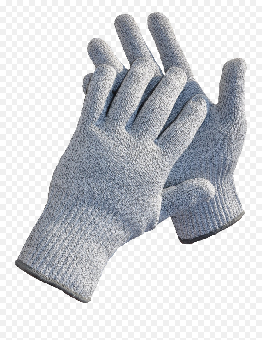 Gloves Png Free Images