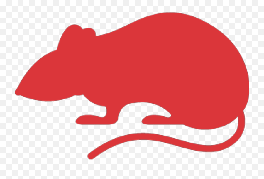 City Wildlife Control - Rato Icon Png,Rat Icon