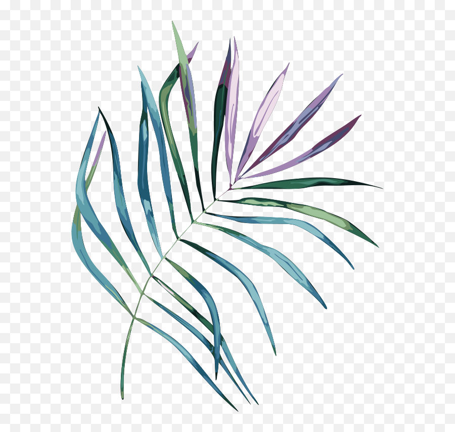 Palm Leaf - Drawing Clipart Full Size Clipart 4099154 Vertical Png,Palm Leaf Icon