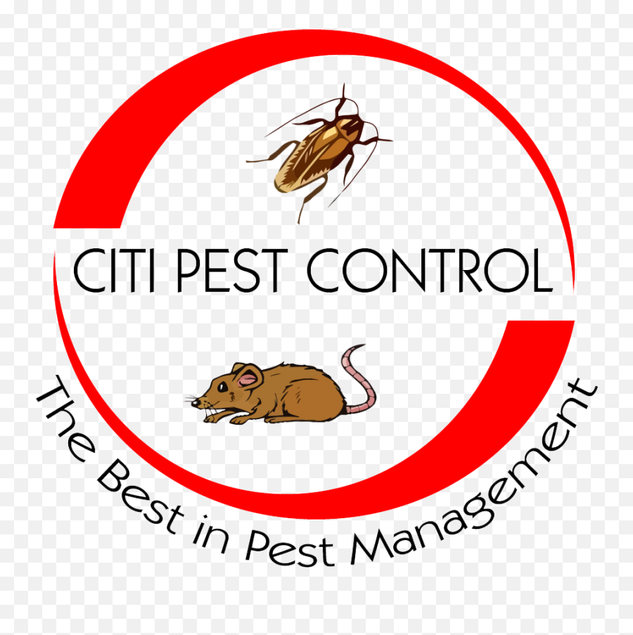 Professionals Rodent Control Citi Company Brooklyn Ny - Parasitism Png,Citi Icon