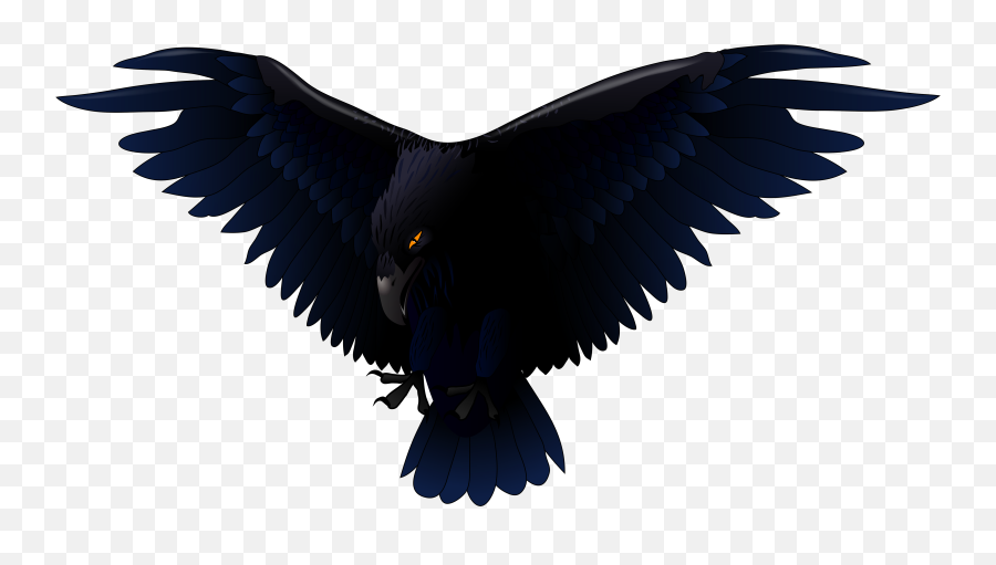 Free Raven Cliparts Download Clip Art - Raven Png,Baltimore Ravens Png