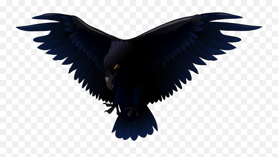 Drawing Baltimore Ravens The Raven Common Raven PNG, Clipart, Art, Baltimore  Ravens, Black And White, Common