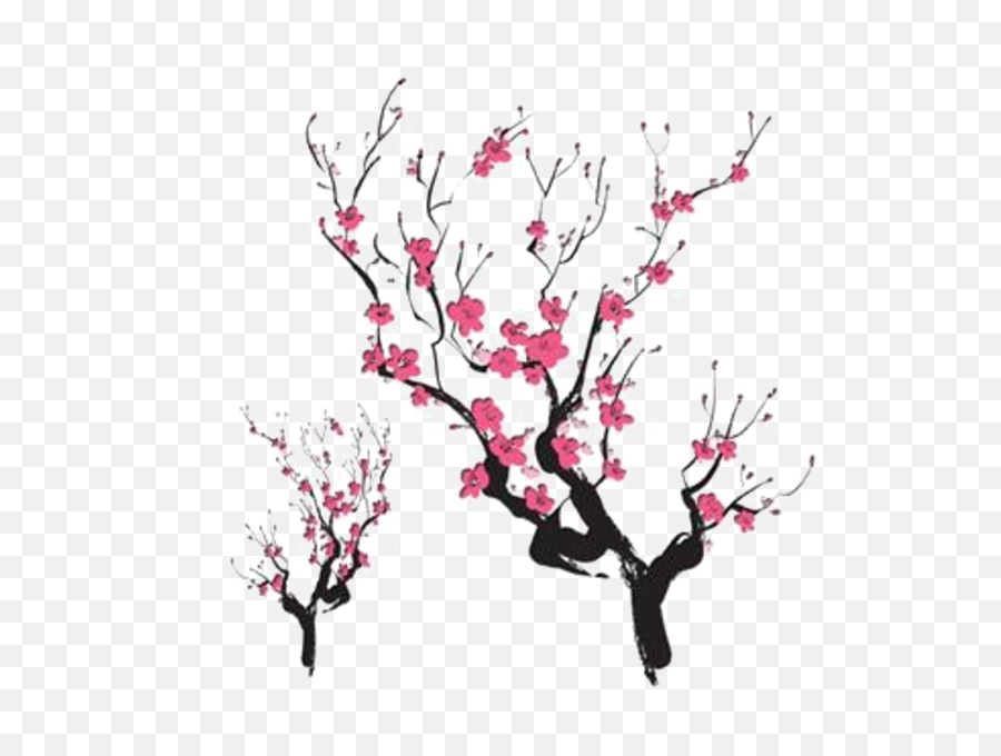 Japanese Maple Png - Cherry Blossom Japanese Design Png,Japanese Maple Png