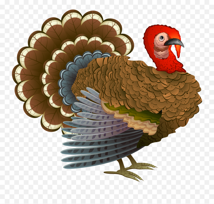 Free Turkey Png Download Clip Art - Happy Thanksgiving Dafe The Turkey,Turkey Png
