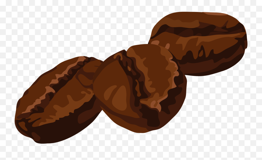 Download Hd Coffee Bean Cafe - Vector Coffee Bean Png Icon,Coffee Bean Vector Png