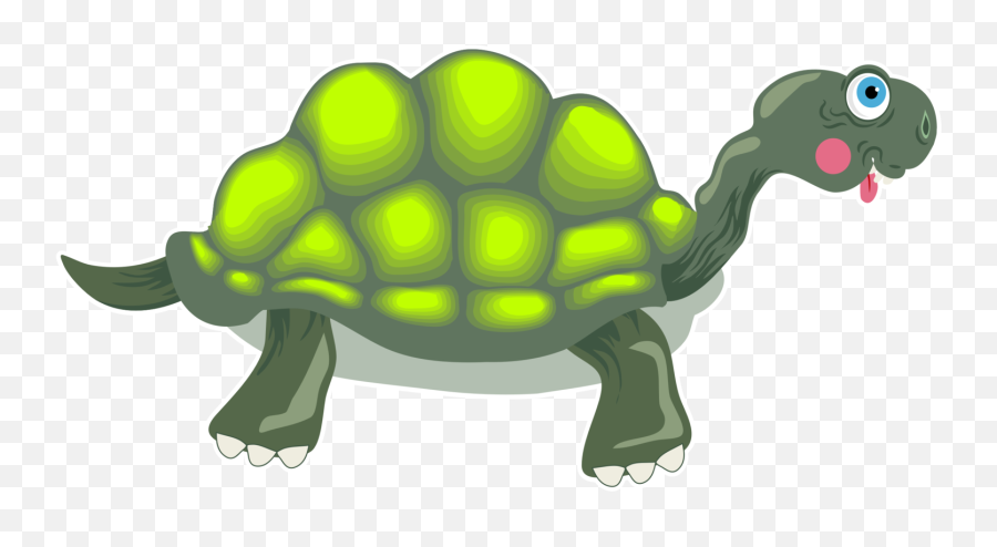 Adder Free Tortoise Cartoon - Tortoise Cartoon Transparent Png,Tortoise Png