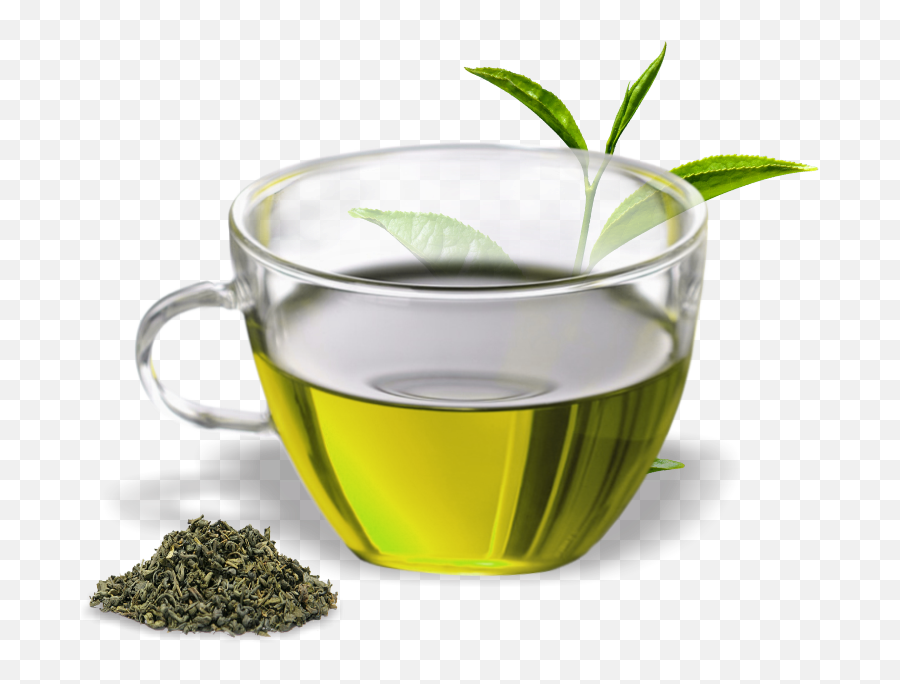 Green Tea Assam Oolong Herbal - Green Tea Png Green Tea Cup Png,Mint Png