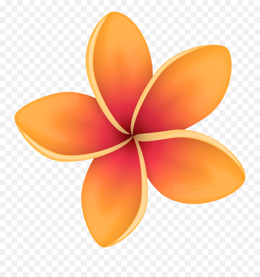 Orange Tropical Flower Clip Art Image Gallery Yopriceville - Red Tropical Flower Clipart Png,Plumeria Flower Png