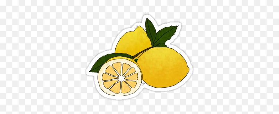 Image Result For Lemon Stickers Tumblr Png Tumbler - Aesthetic Lemon Sticker Png,Lemon Png