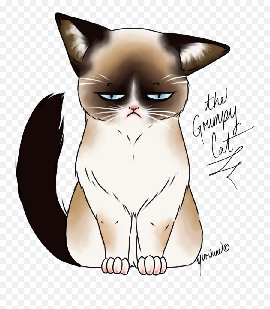 Download 28 Collection Of Kawaii Grumpy Cat Drawing - Png Kawaii Cat Drawing Sketch,Grumpy Cat Png