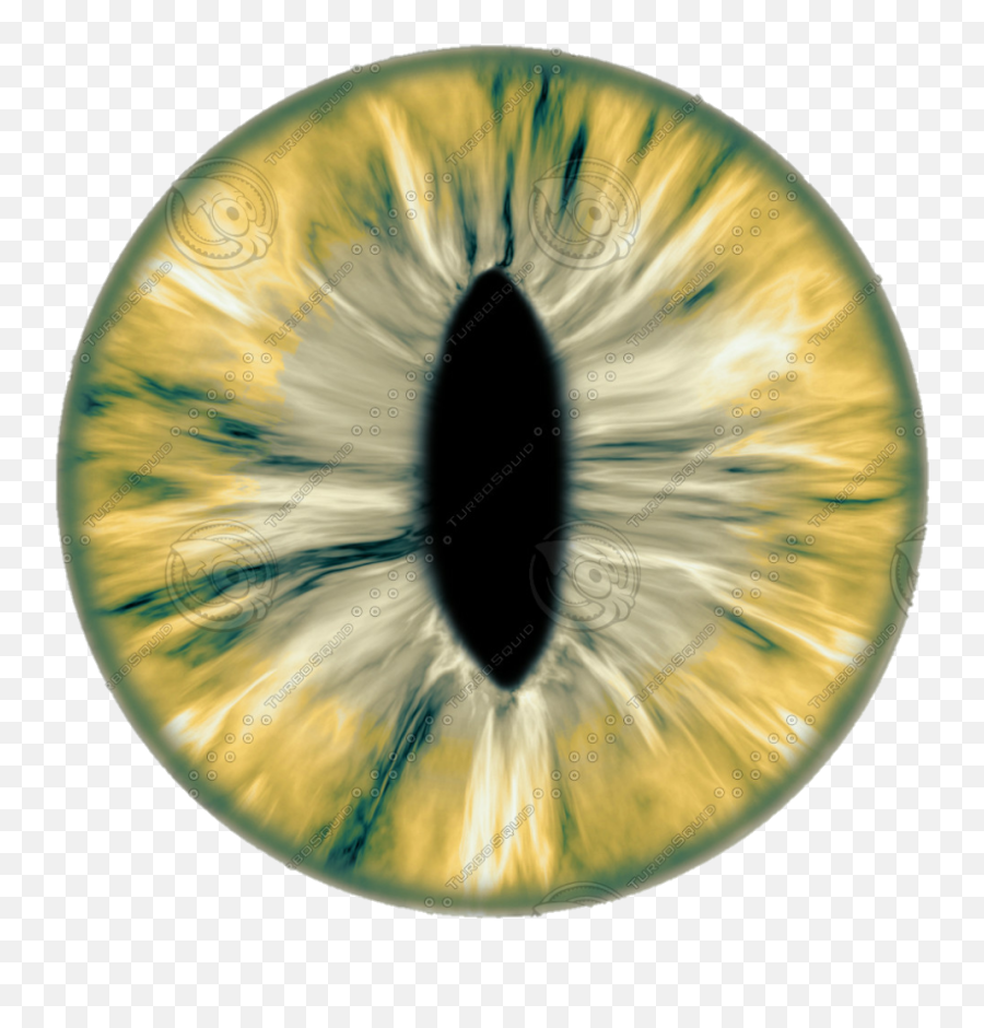 Download New 20 Eye Lens Png For Editing Eyes - Dino Eye Texture,Eye Lens Flare Png