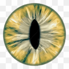 Download New 20 Eye Lens Png For Editing Eyes - Dino Texture