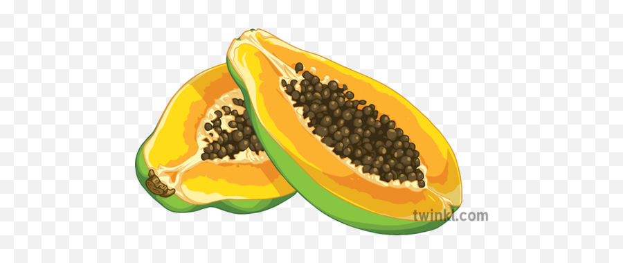 Papaya Slice Open Fruit Science Secondary Illustration - Twinkl Superfood Png,Papaya Png