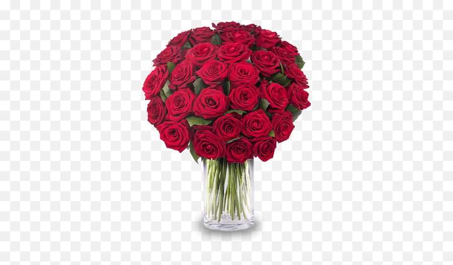 Bunch Of Red Roses Png Images Free Transparent U2013 - Rose,Red Roses Png