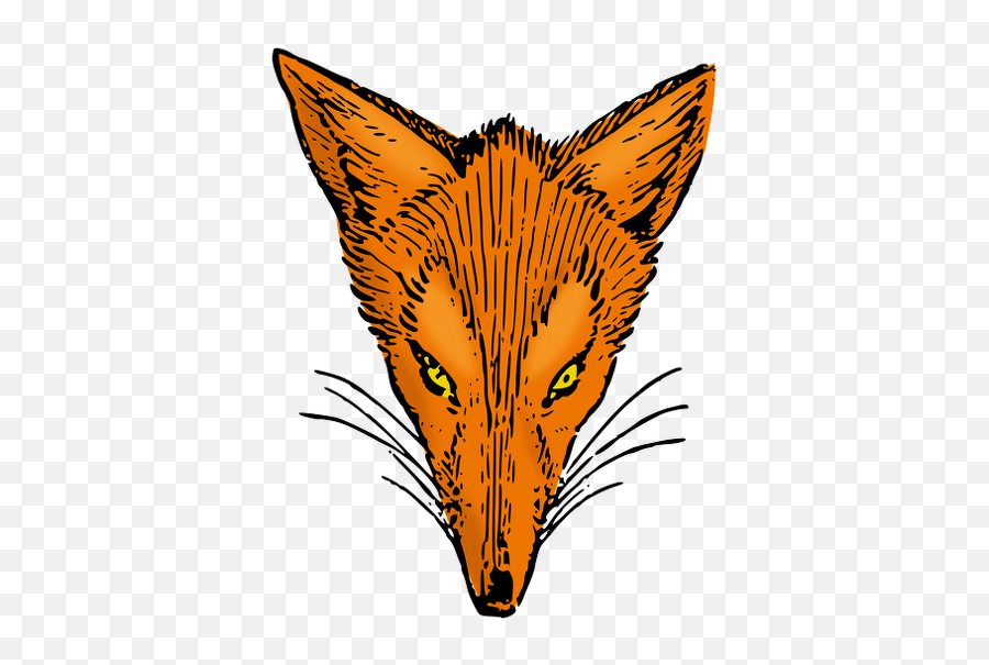 Fox Png Head