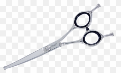 6in Blunt Tip Curved Grooming Shear - Hair Shear Png,Blunt Transparent