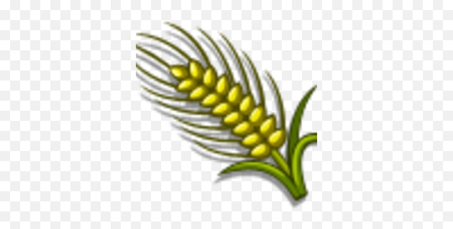 Australian Wheat Farmville Wiki Fandom - Vertical Png,Wheat Icon Png