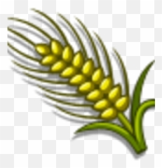 Australian Wheat Farmville Wiki Fandom - Vertical png
