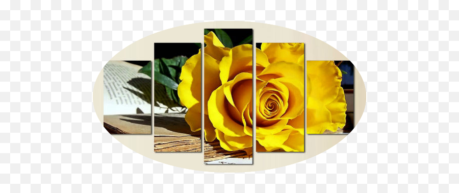 Rose Flower 5 Piece Wall Art Free Global Shipping U0026 Framed - Rose Png,Yellow Roses Png