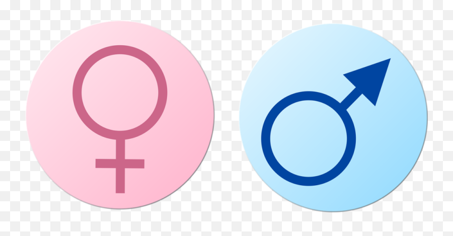 Male Female Gender - Free Image On Pixabay Tanda Laki Laki Dan Perempuan Png,Female Sign Png
