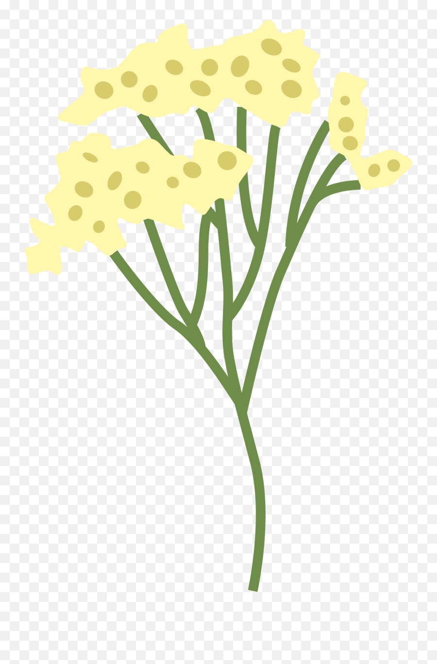 Plucea Indica Flower - Tanacetum Png,Indica Icon