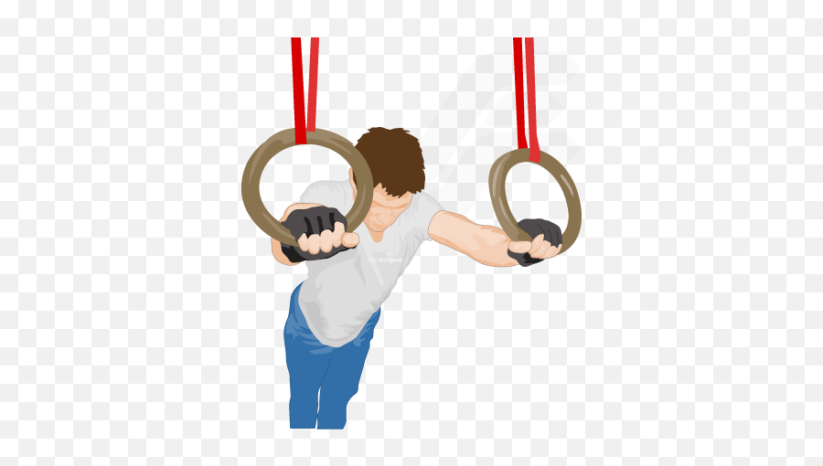 Push - Ups On Rings For Strength Training Ring Exercises Ring Push Ups Png,Olympic Rings Png