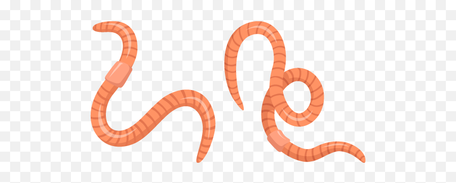 Earthworm Cursor U2013 Custom - Language Png,Worms Icon