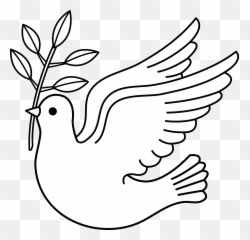 Dove Clipart Transparent No Background Free 3 - WikiClipArt Peace Clipart Black And White png