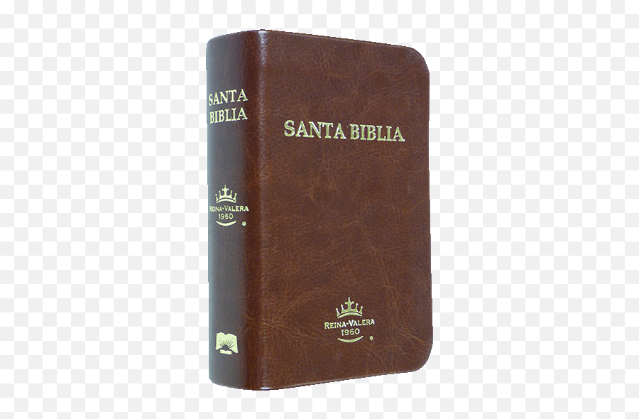 Spanish Sbu Santa Biblia Abs Pequeña Rvr 1960 42045 - Book Cover Png,Biblia Png