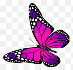 Free Png Download Butterfly Pink - Butterfly Pink And Purple,Purple Butterfly Png
