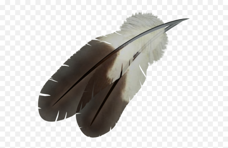 Feather Png - Eagle Feather,Feather Transparent Background
