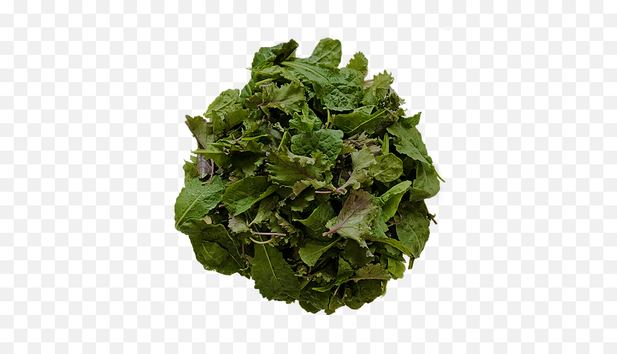 Baby Mix Kale Babe Farms - Spring Greens Png,Kale Png