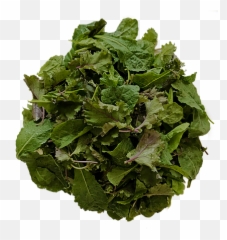 Baby Mix Kale Babe Farms - Spring Greens Png,Kale Png