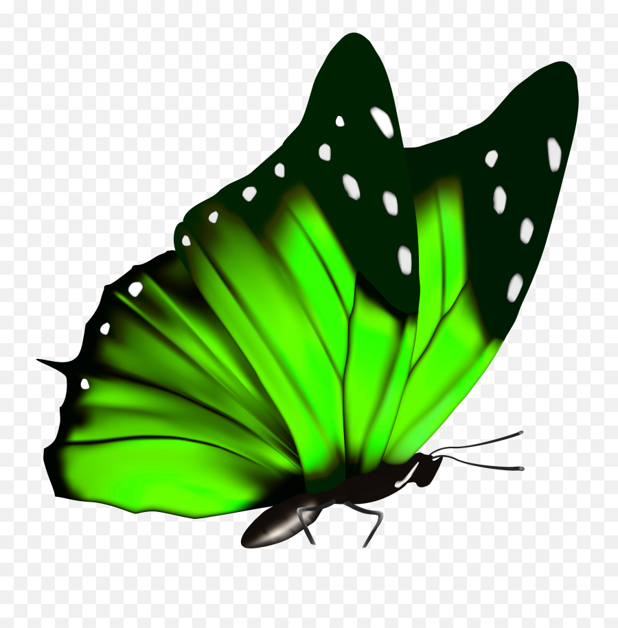 Green Butterfly Png Clipart Image - Transparent Green Butterfly Png,Butterfly Png Clipart