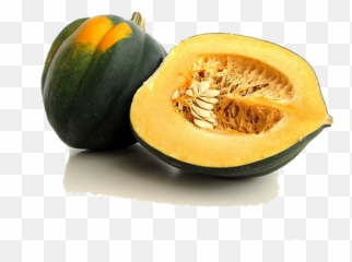 Acorn Squash Png Clipart - Picture Of