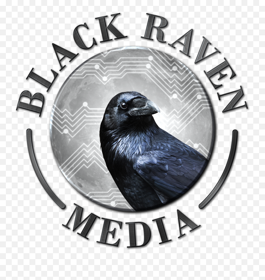 Custom Home Builder Digital Marketing Black Raven Media Llc - Black Raven Media Llc Logo Png,Raven Transparent