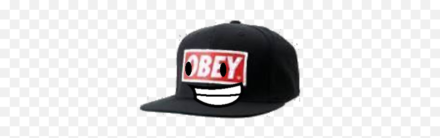 User Blogcutiesunflowertop Hat Camp Object Shows - Rap Hat Png,Obey Hat Png