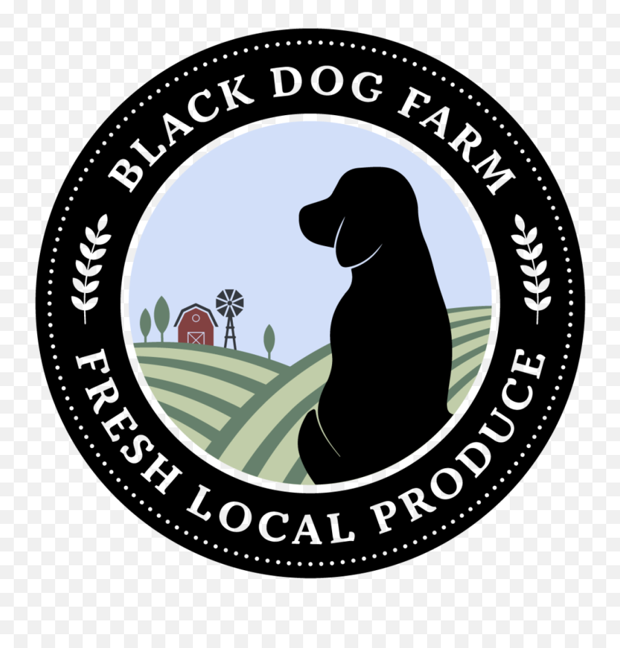 Black Dog Farm Branding U2014 Ann Samuelson Graphic Design Png